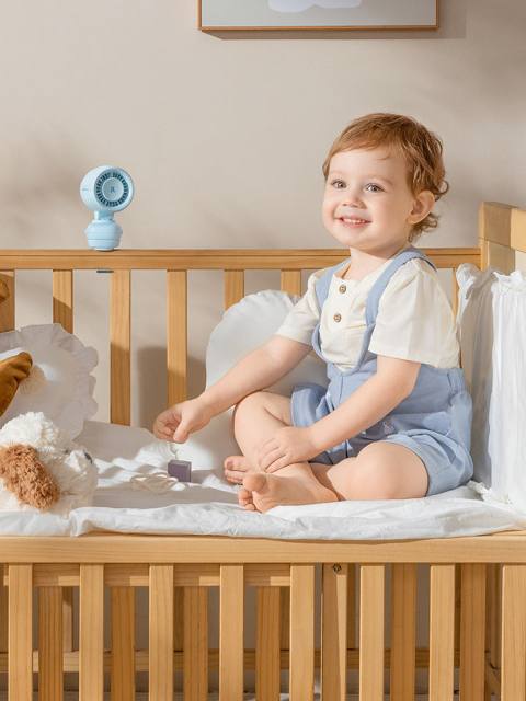 Clip Fan/Stroller Fan